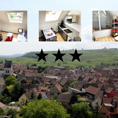 Gite Des 5 Cigognes Rouge Mittelwihr Exterior photo