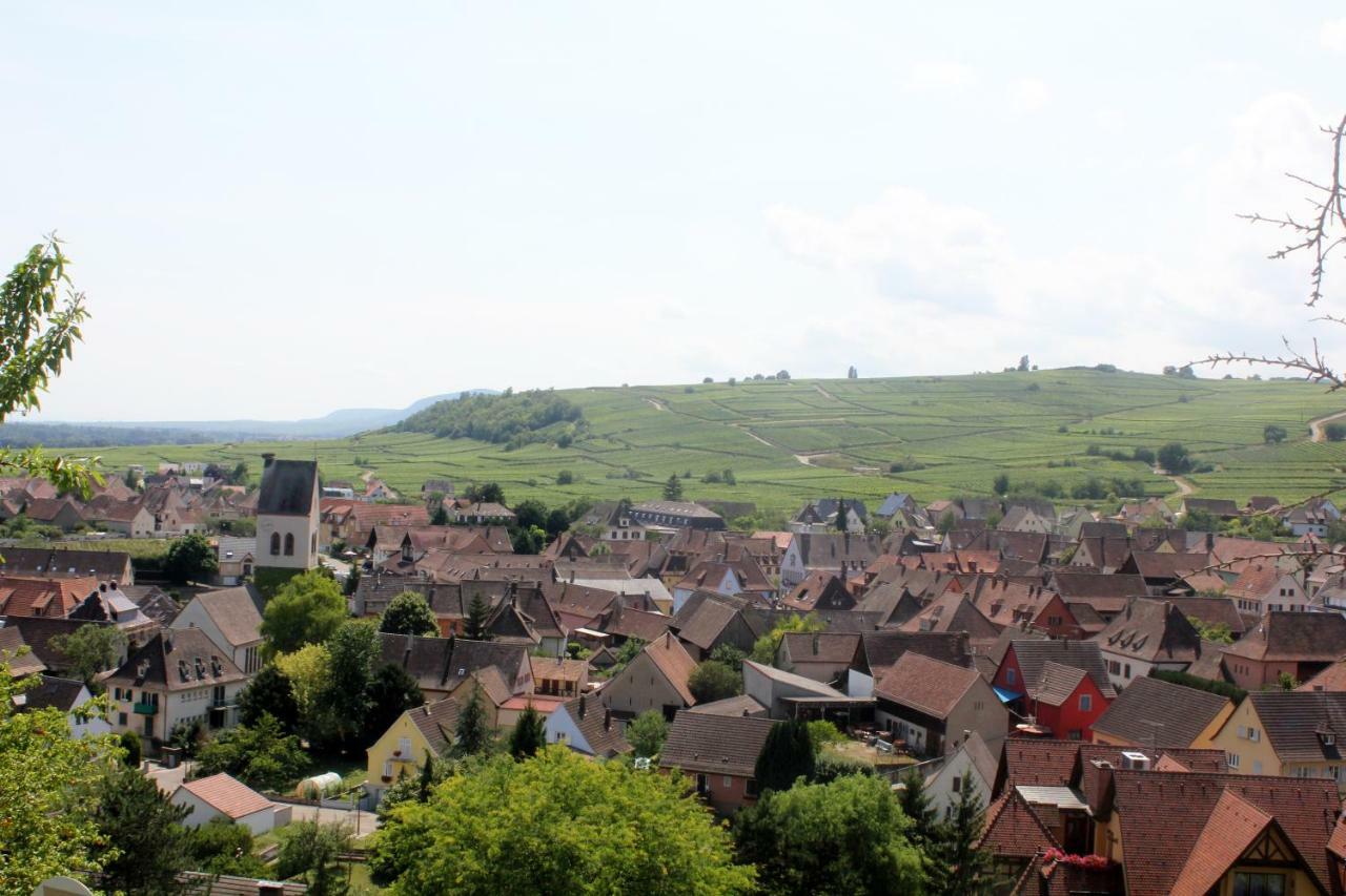 Gite Des 5 Cigognes Rouge Mittelwihr Exterior photo