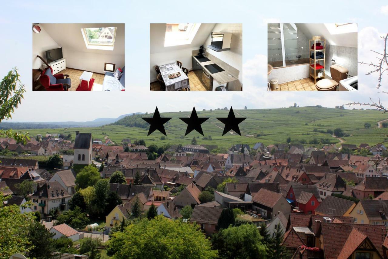 Gite Des 5 Cigognes Rouge Mittelwihr Exterior photo